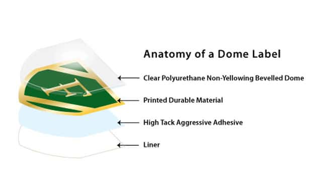 Anatomy of a DOME label